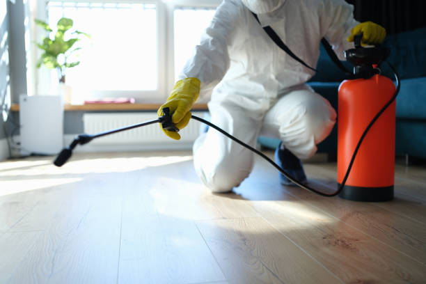 Reliable Biohazard contractor in Walsh, IL by Crime Scene Cleaner Online